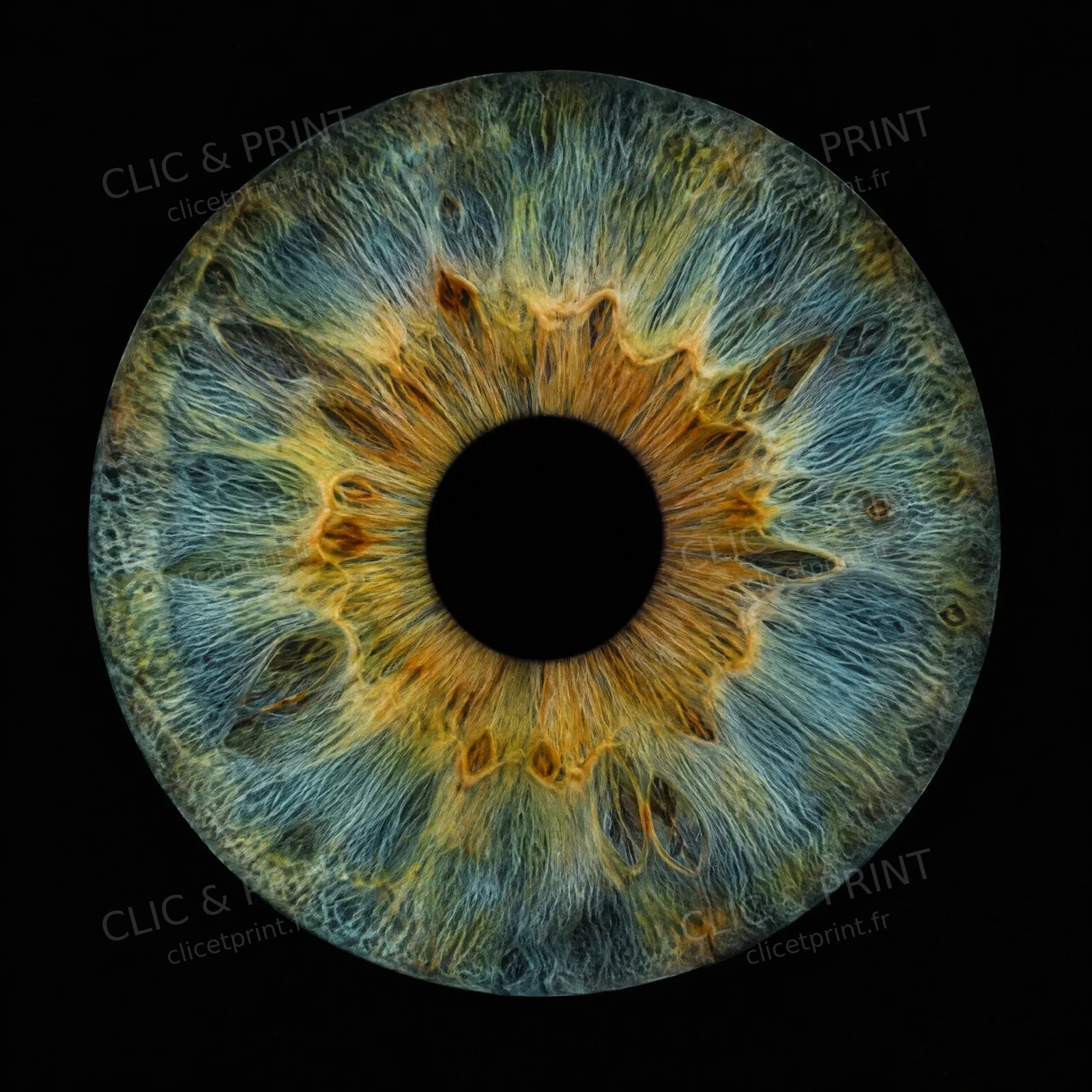 Illustration artistique d’un iris aux nuances bleues, vertes et dorées sur fond noir